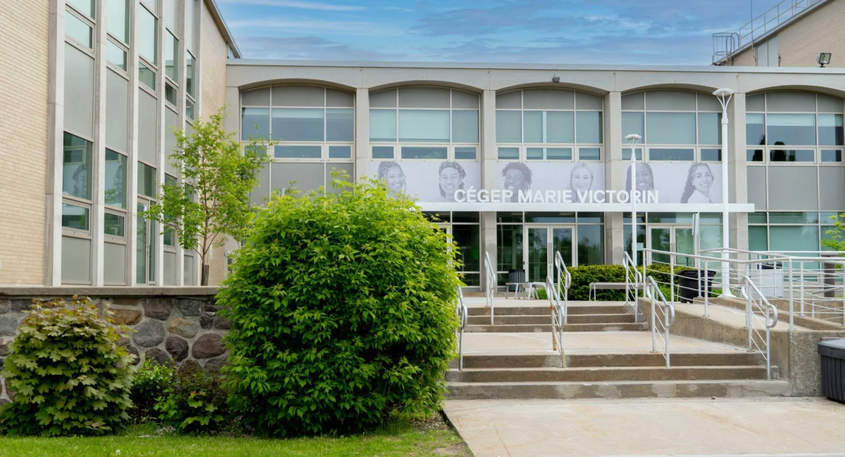 Cégep MV