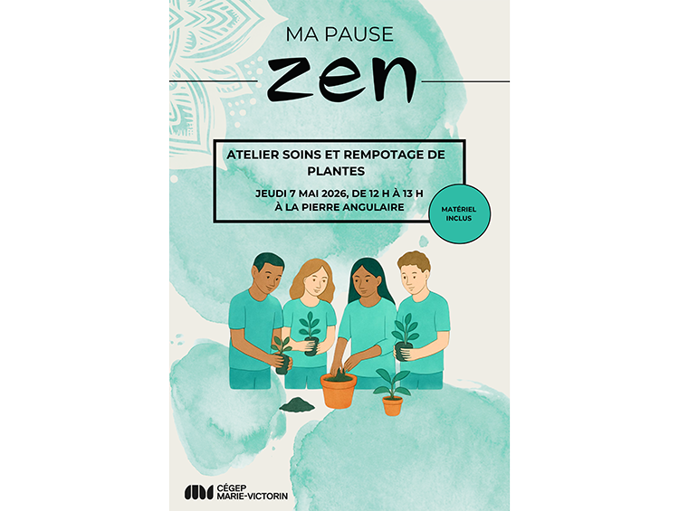 activité soins et rempotage de plantes - pause zen