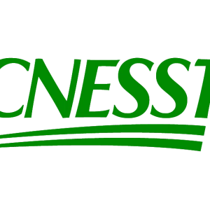 CNESST 2019 rvb
