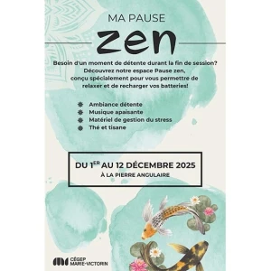 Pause Zen1au12dec