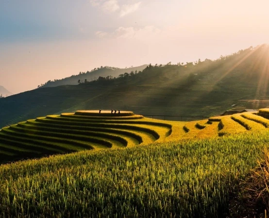 Vietnam 3738879 1280